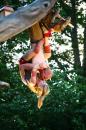 racines 043 * 4368 x 2912 * (5.33MB)